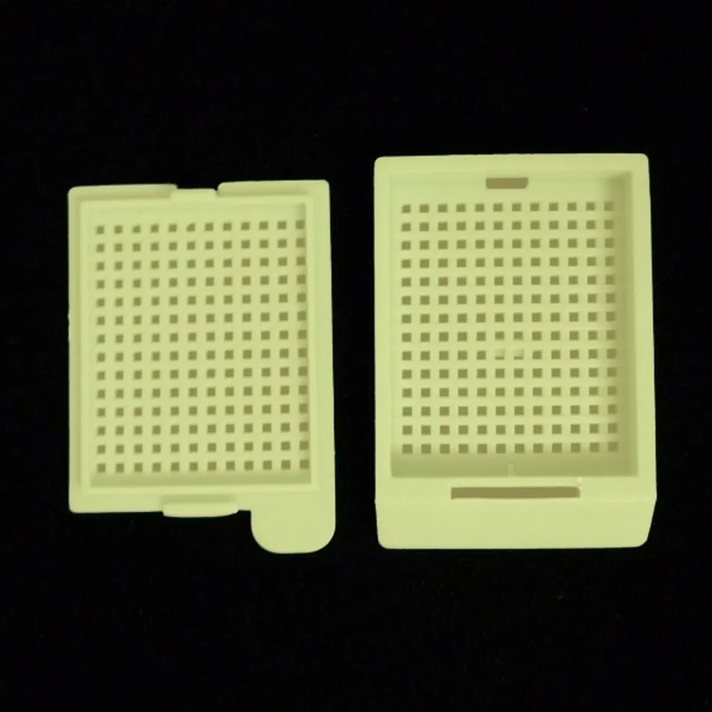 ~!phoenix_varIMG63!~