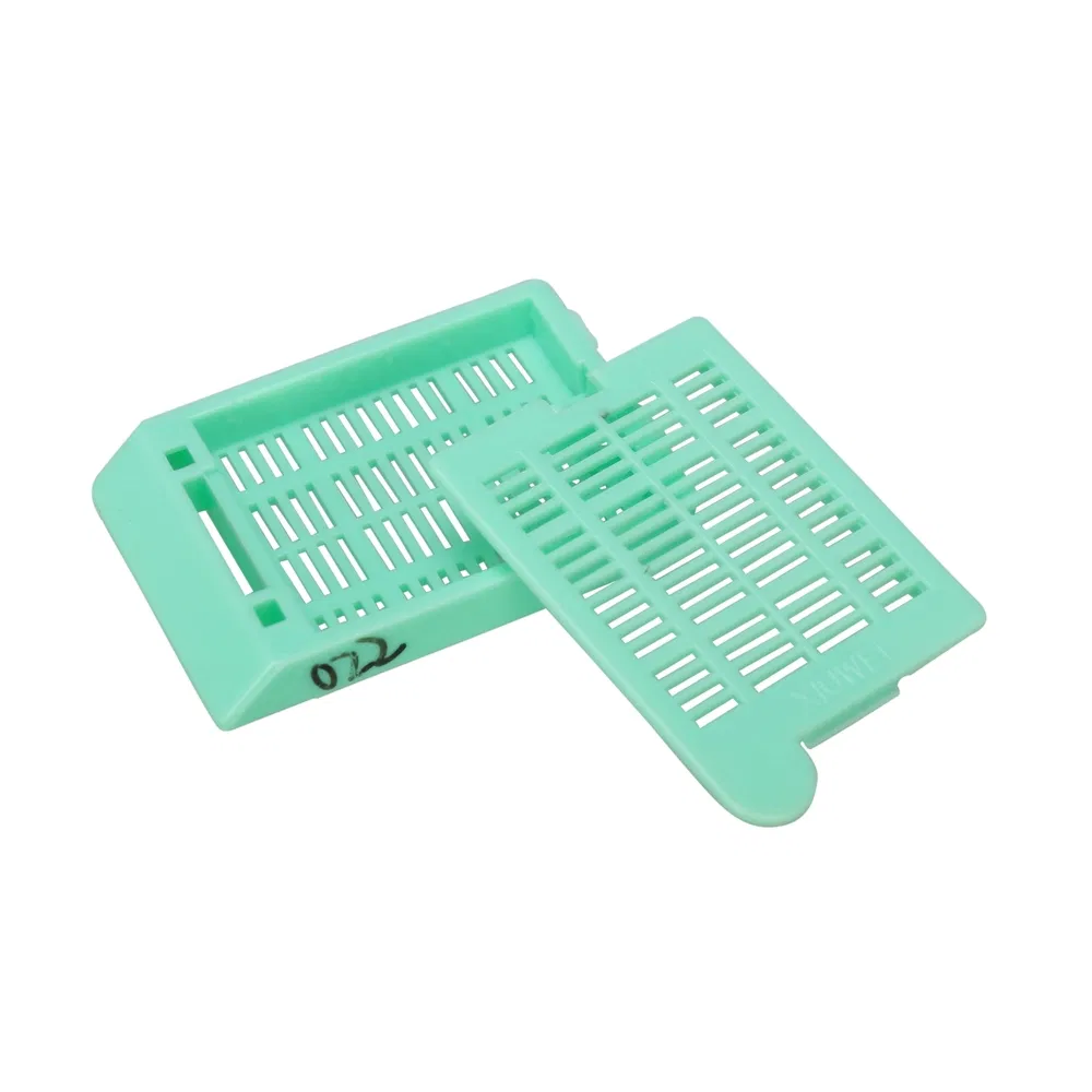 ~!phoenix_varIMG63!~