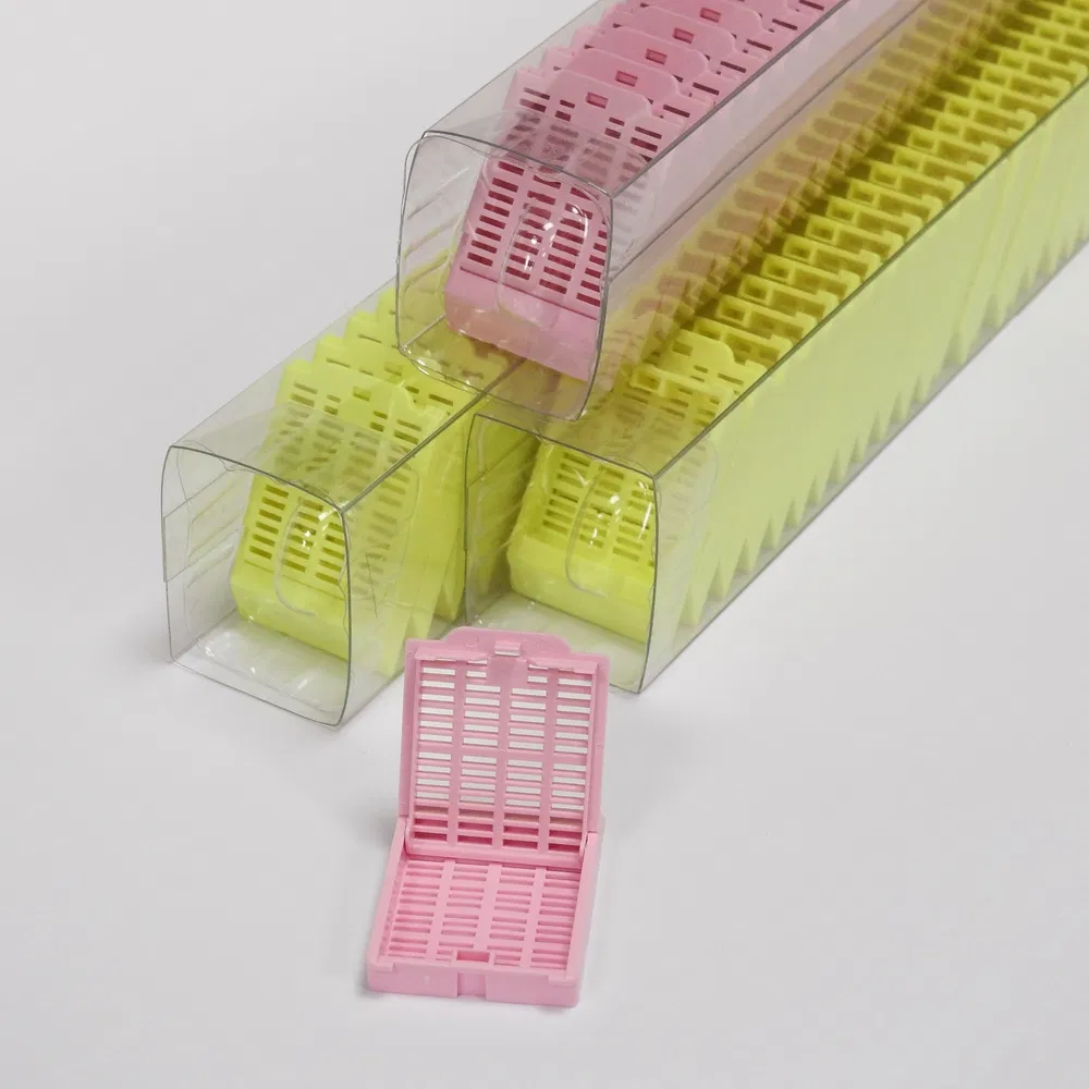 ~!phoenix_varIMG63!~