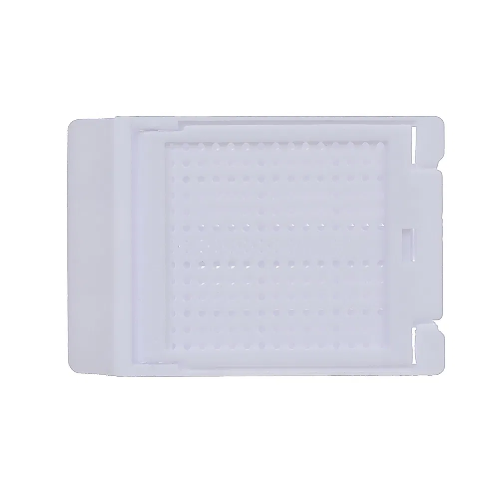 ~!phoenix_varIMG63!~