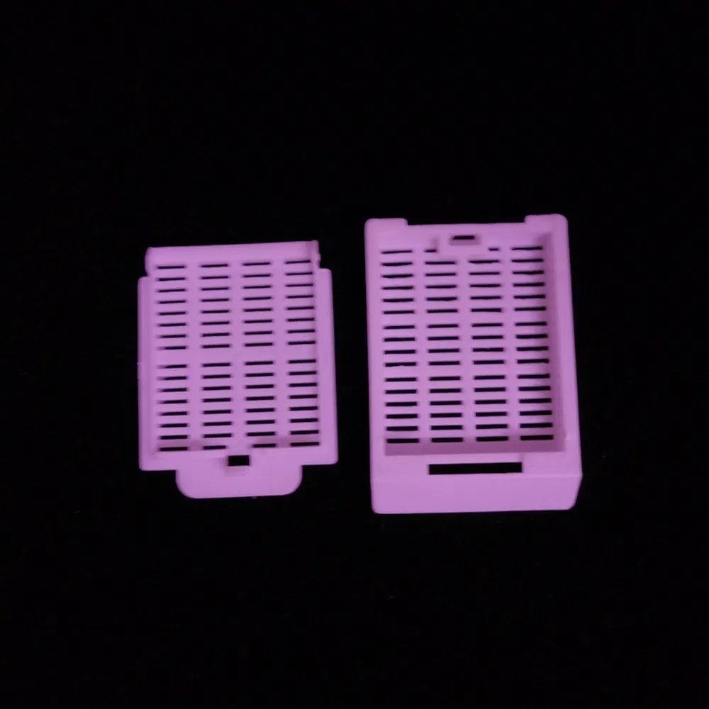 ~!phoenix_varIMG63!~