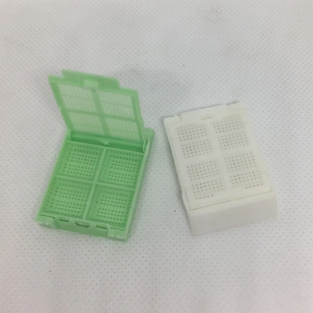 ~!phoenix_varIMG63!~