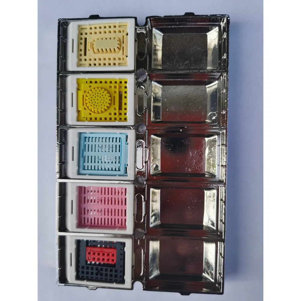 ~!phoenix_varIMG63!~