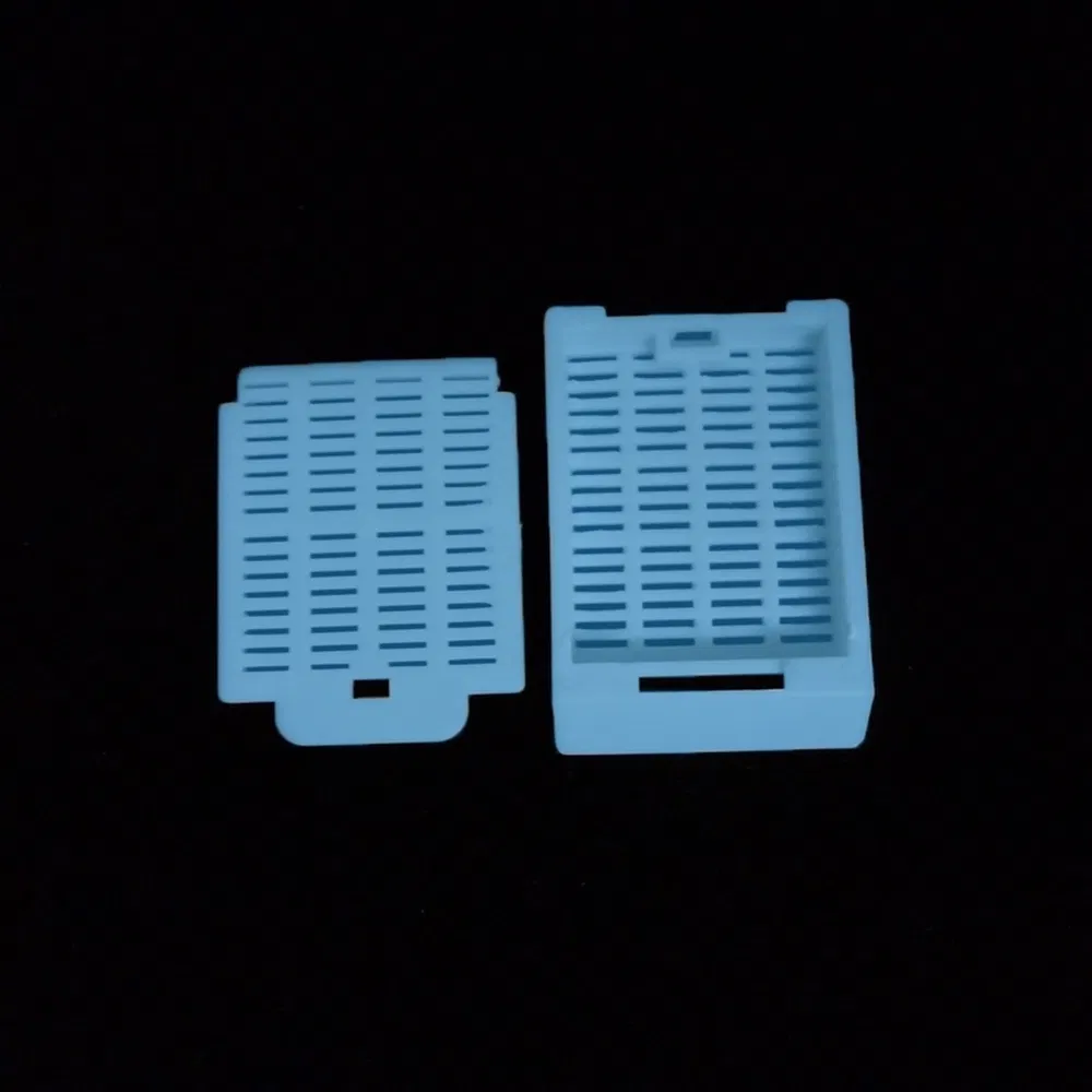 ~!phoenix_varIMG63!~