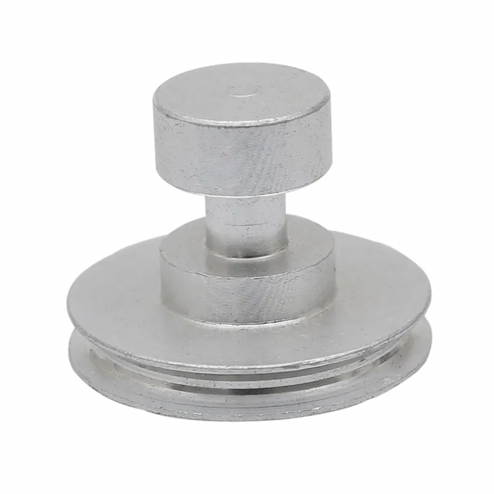 zur Untersuchung der biologischen Probe verwendet wurde, dauerhafte korrosionsresistente kreisf&ouml;rmige Kryostat -Kryostat -Probe 