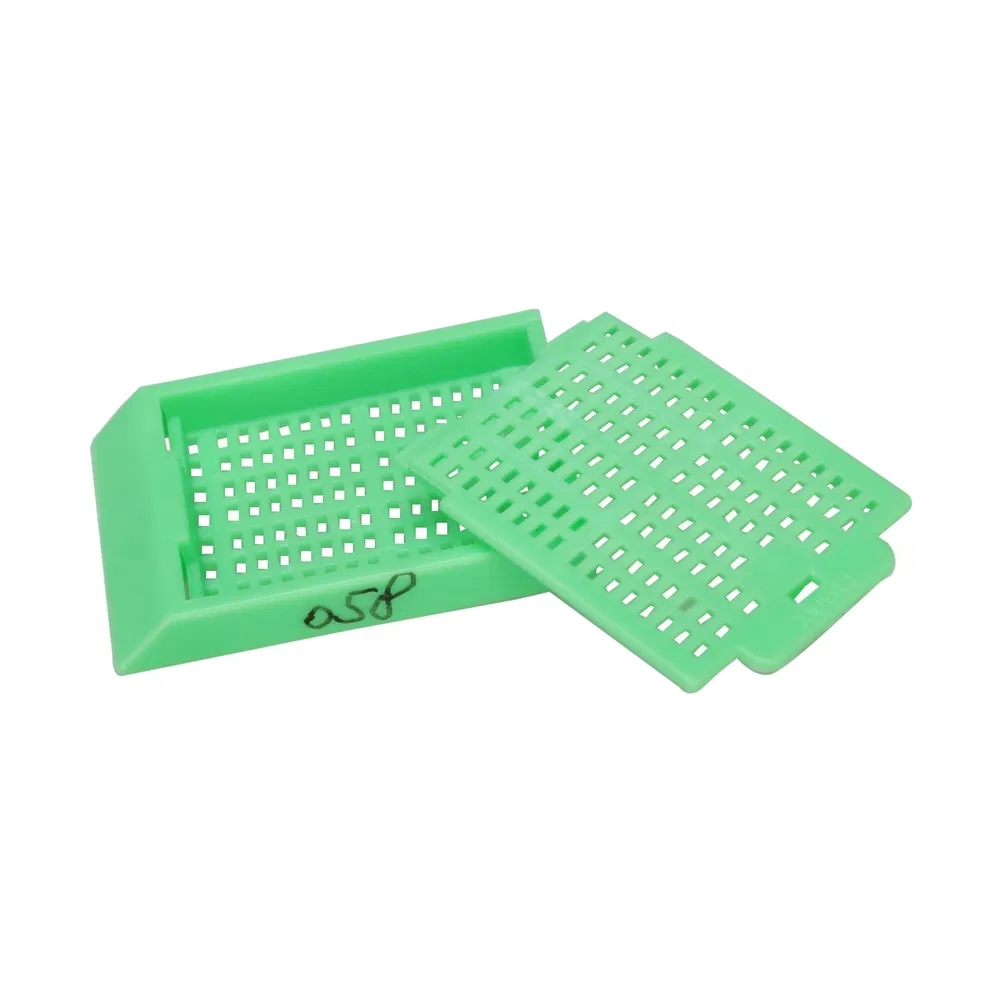 ~!phoenix_varIMG63!~