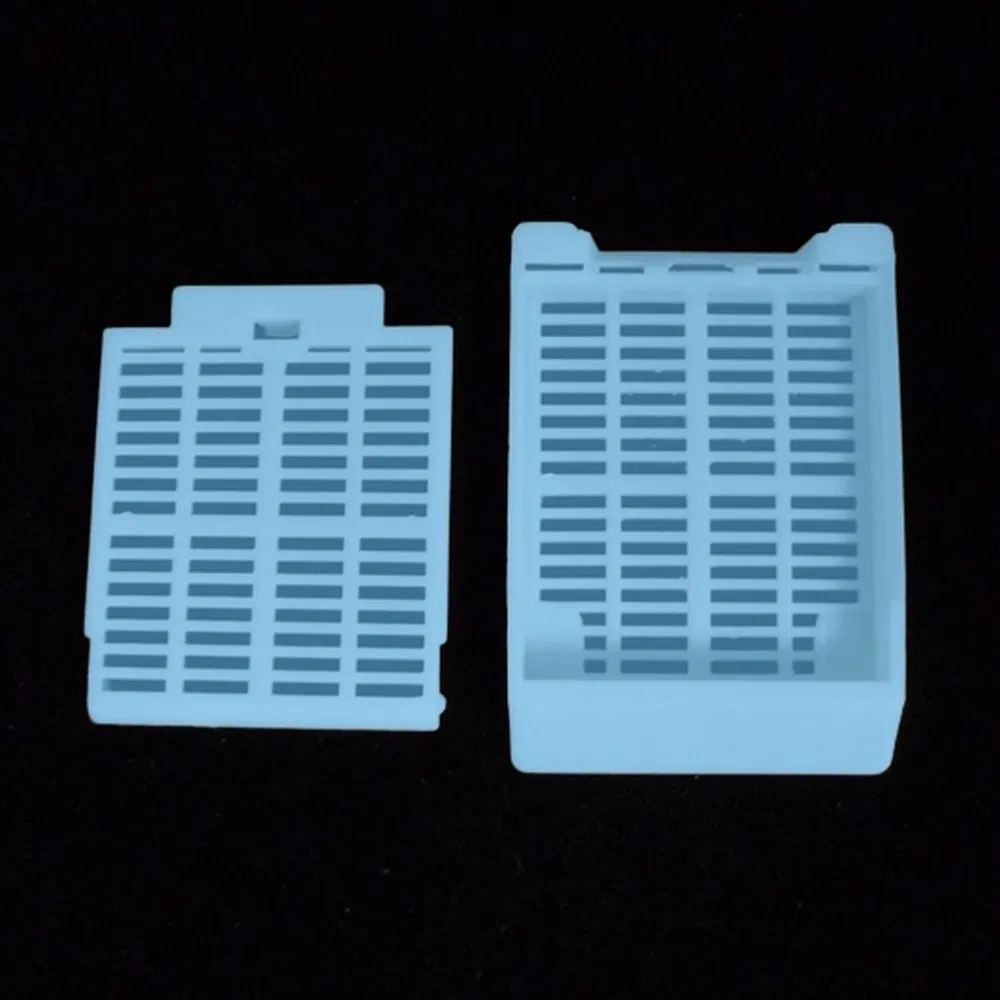 ~!phoenix_varIMG63!~