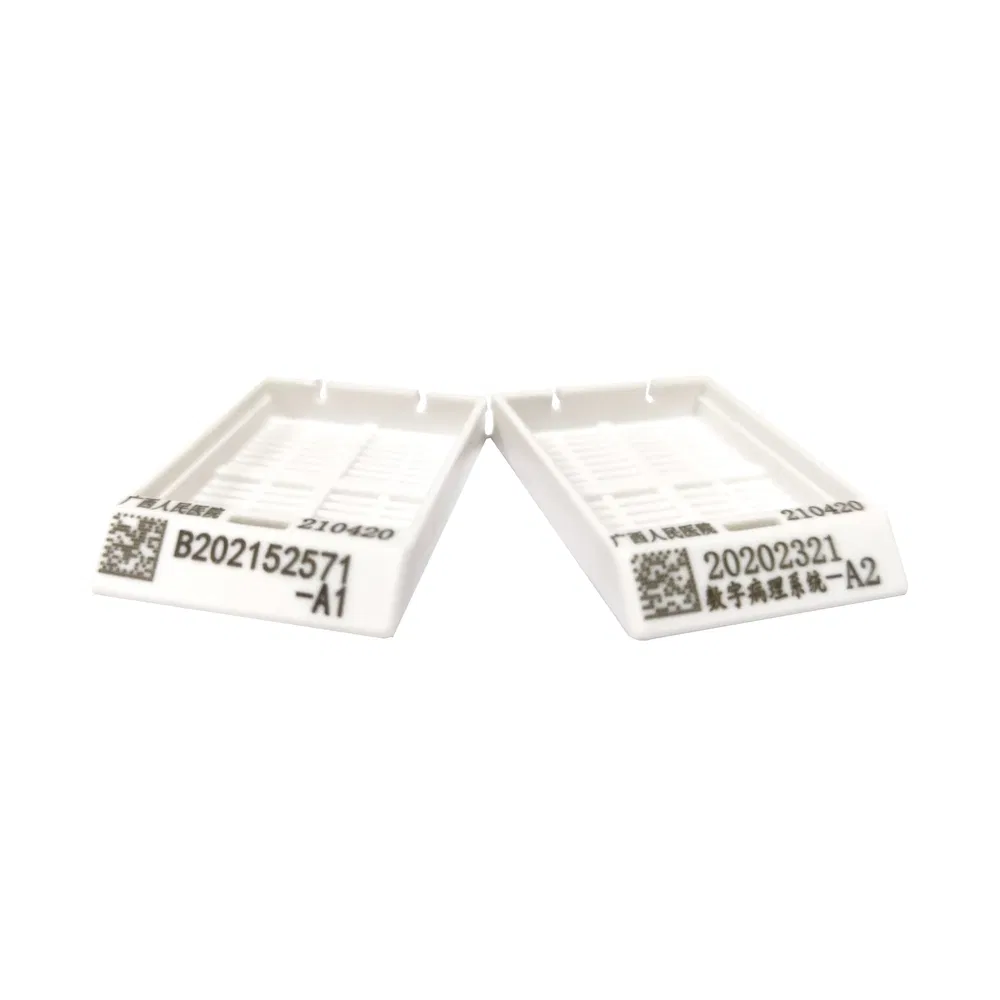 ~!phoenix_varIMG63!~