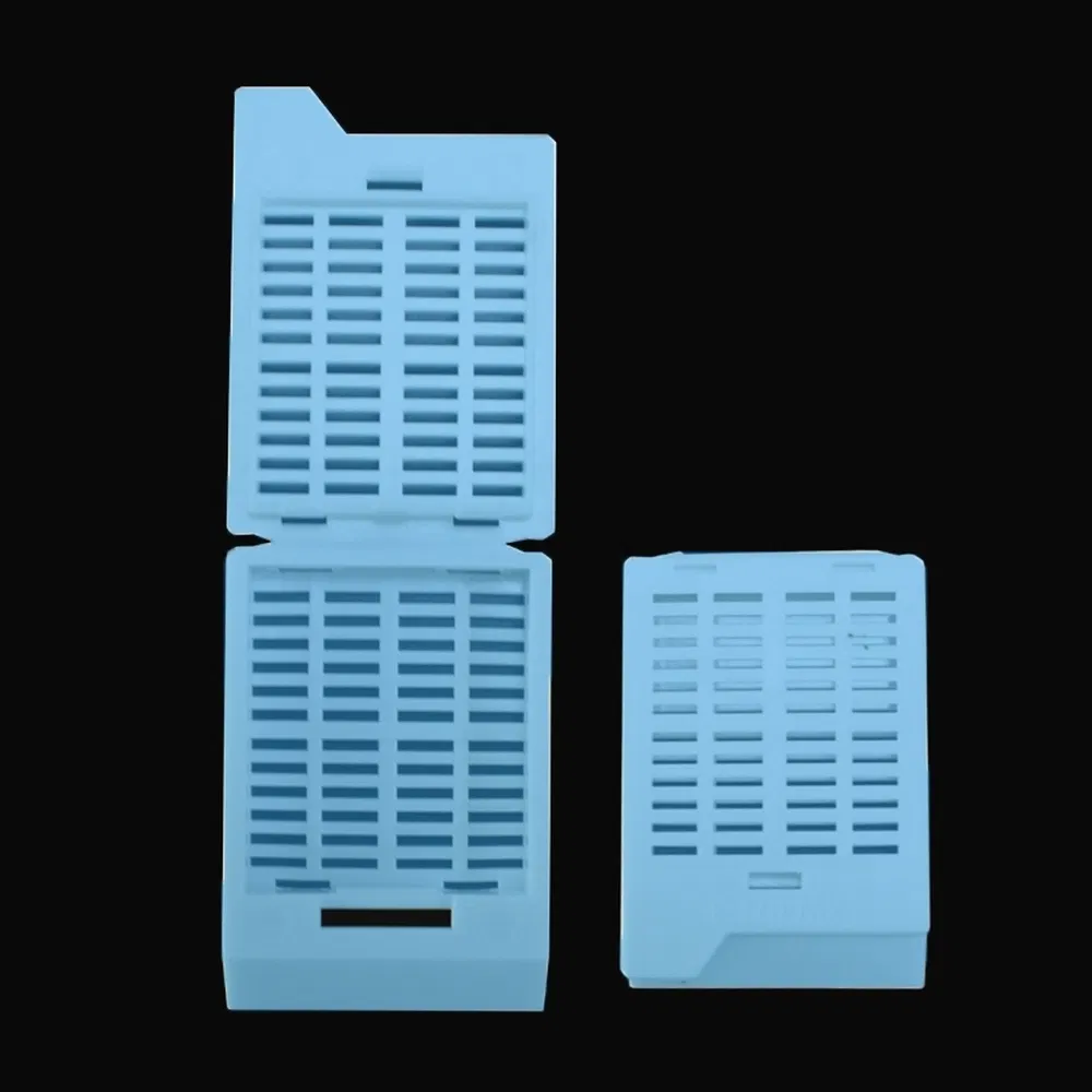 ~!phoenix_varIMG63!~