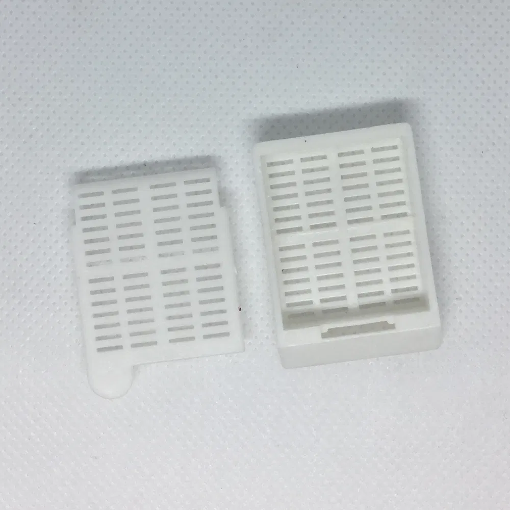 ~!phoenix_varIMG63!~