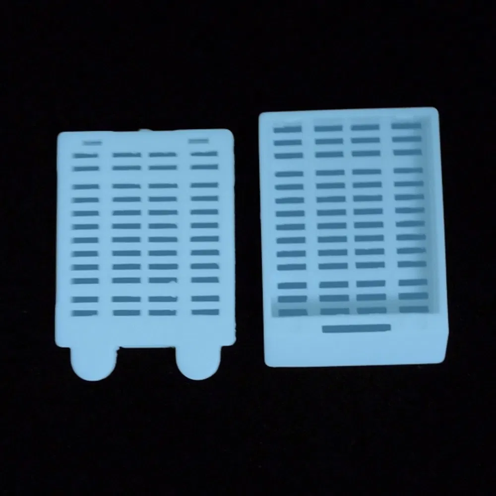 ~!phoenix_varIMG63!~