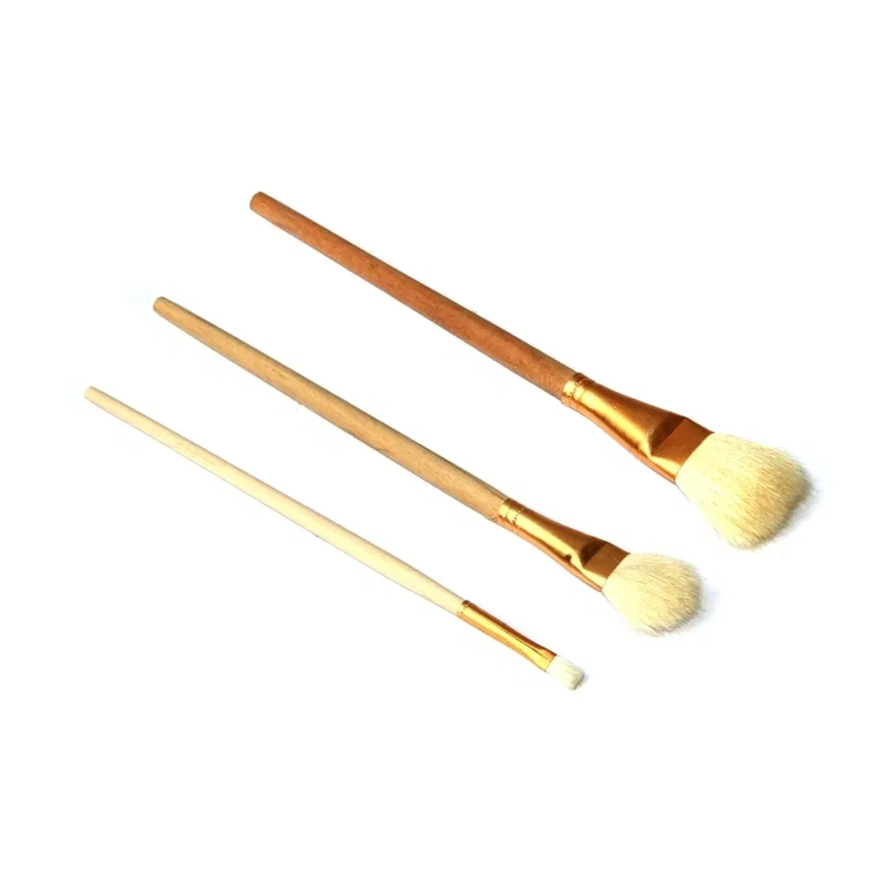 Fabrik Direktvertrieb Pathologie Paraffin Abschnitt Pinsel f&uuml;r histologische Proben Pr&auml;paration 