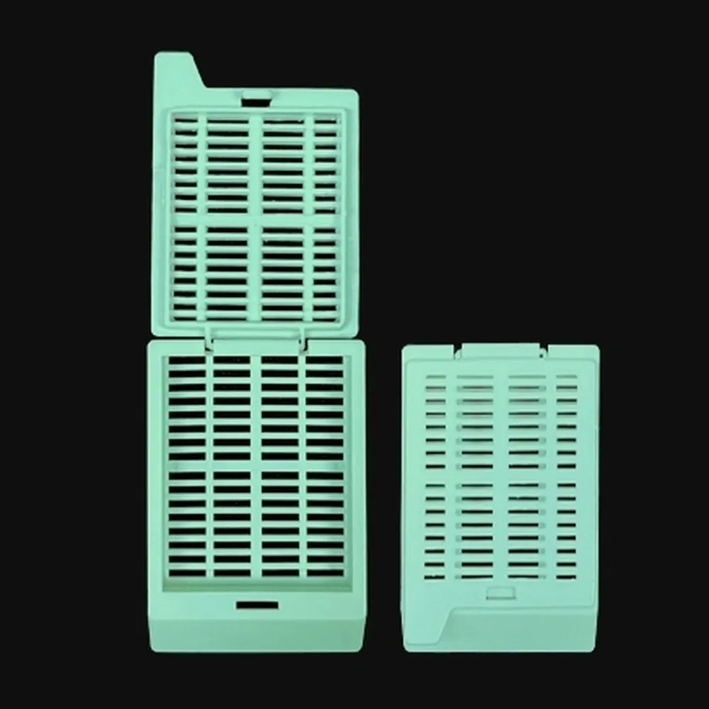 ~!phoenix_varIMG63!~