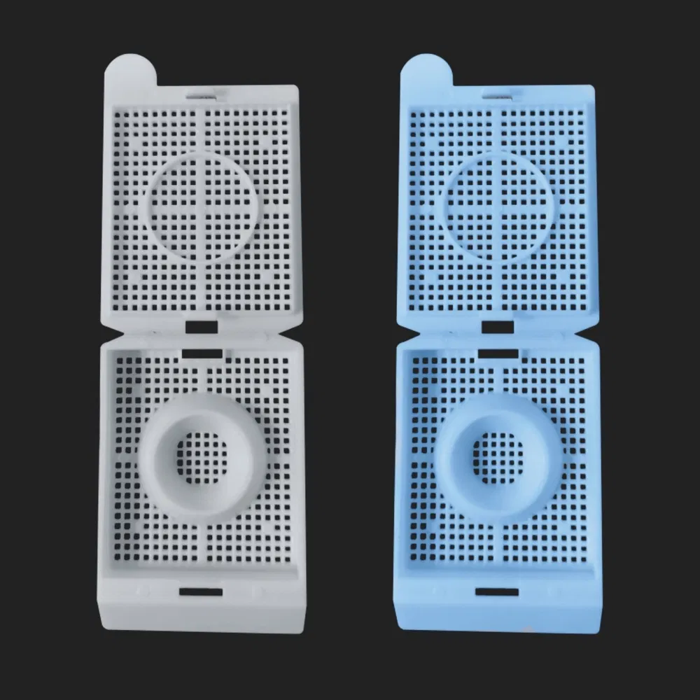 ~!phoenix_varIMG63!~