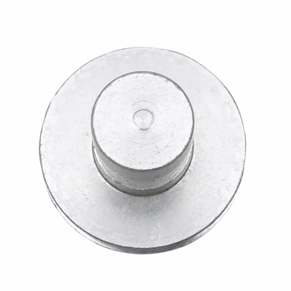 -Chuck -Probe -Probe -Untersuchung biosible 